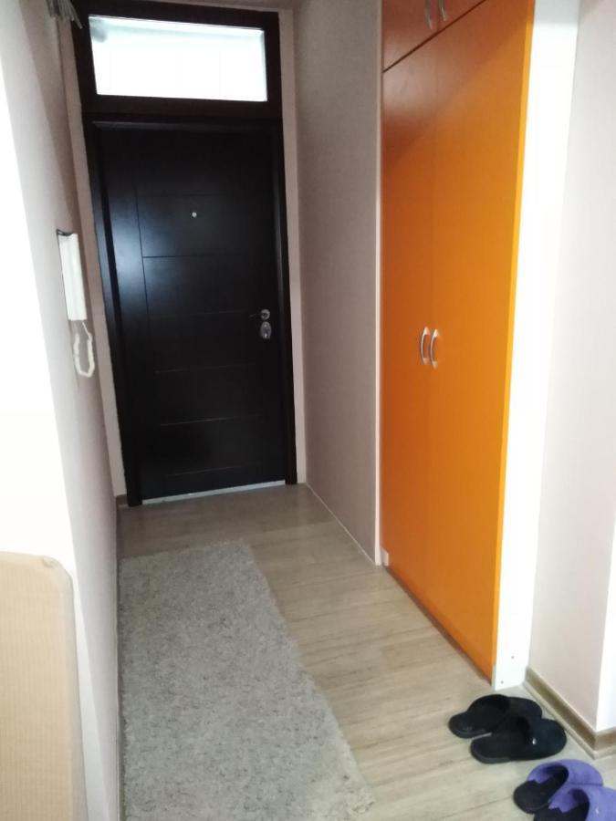 Apartman 1 Apartment Vrnjačka Banja Екстериор снимка