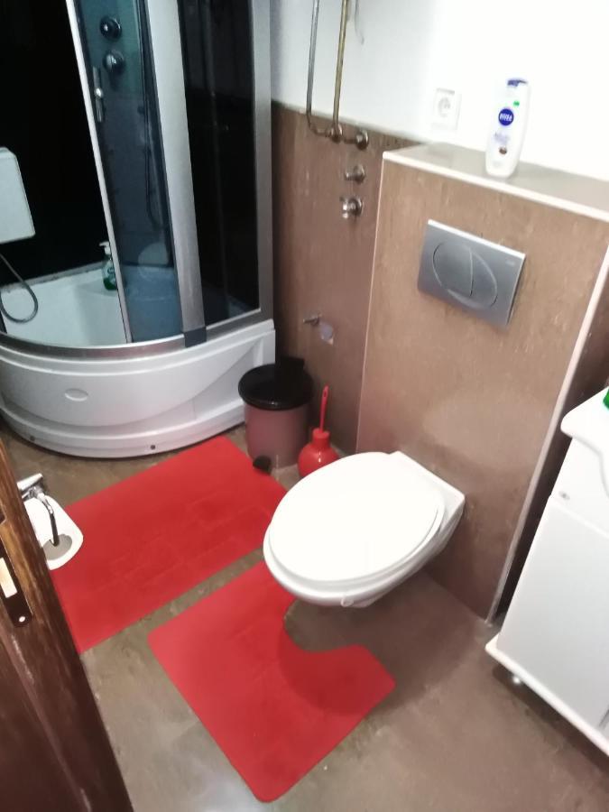 Apartman 1 Apartment Vrnjačka Banja Екстериор снимка
